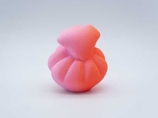 Gradation Form (PP/NR) #02